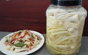 Cây Bồn Bồn: 5 Cách Chế Biến Cho Bữa Cơm Ngon - Cầu Tre